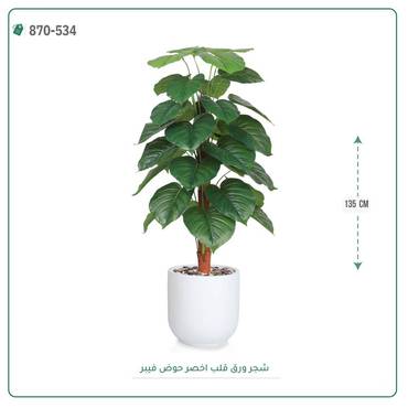 صورة مصغرة 1