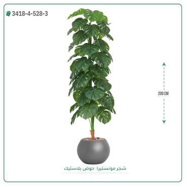 صورة مصغرة 12