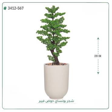 صورة مصغرة 1