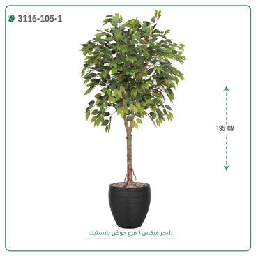 صورة مصغرة 3