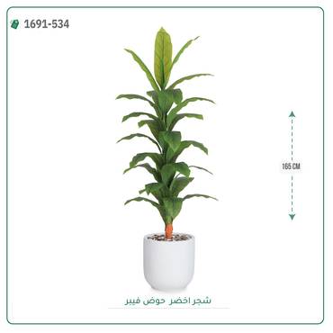 صورة مصغرة 2