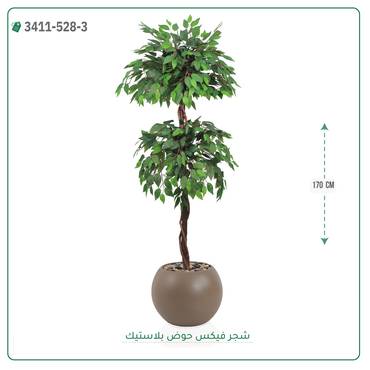 صورة مصغرة 9