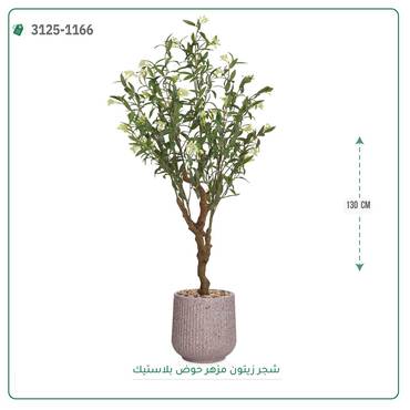 صورة مصغرة 4