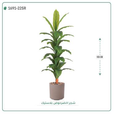 صورة مصغرة 2