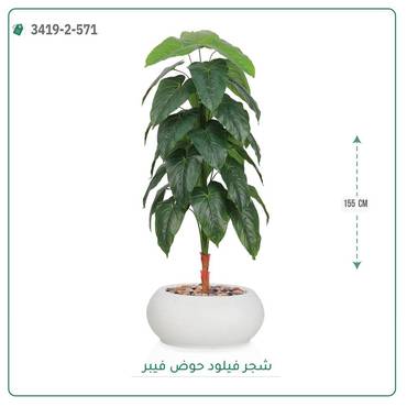 صورة مصغرة 1