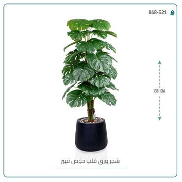 صورة مصغرة 5