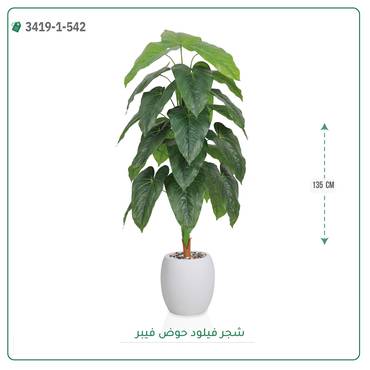 صورة مصغرة 4