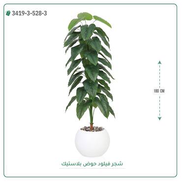 صورة مصغرة 7
