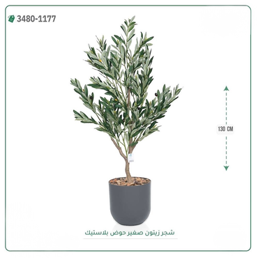 صورة مصغرة 3