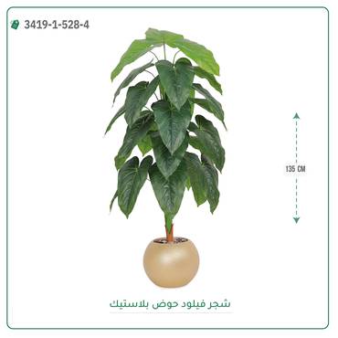 صورة مصغرة 5