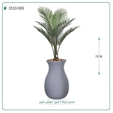 صورة مصغرة 9