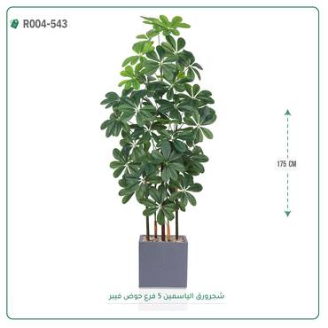 صورة مصغرة 3