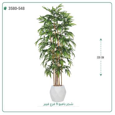 صورة مصغرة 3
