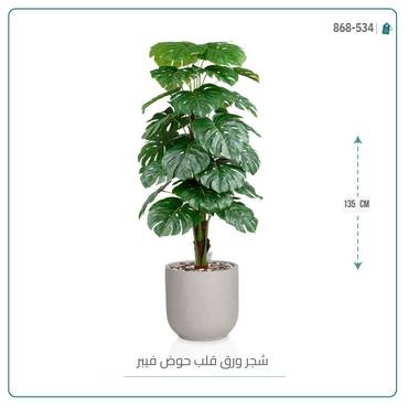 صورة مصغرة 2