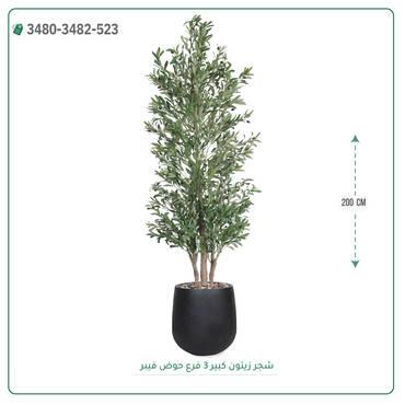 صورة مصغرة 2