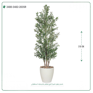 صورة مصغرة 5