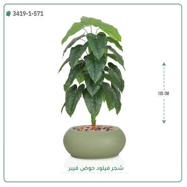 صورة مصغرة 1