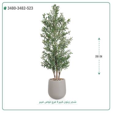 صورة مصغرة 7