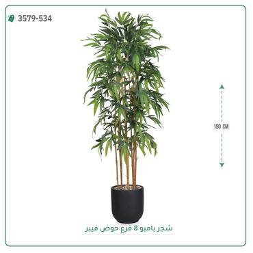 صورة مصغرة 4