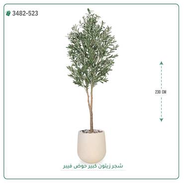 صورة مصغرة 6