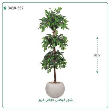 صورة مصغرة 9