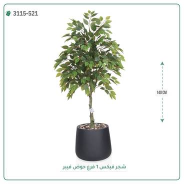 صورة مصغرة 3