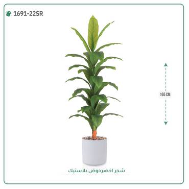 صورة مصغرة 1