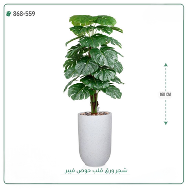 صورة مصغرة 1