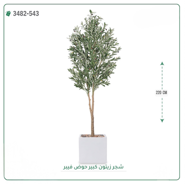 صورة مصغرة 2