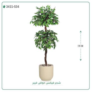 صورة مصغرة 3