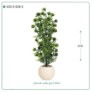 صورة مصغرة 8