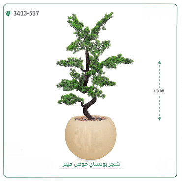 صورة مصغرة 7