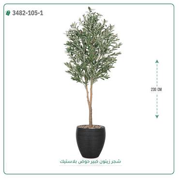 صورة مصغرة 2