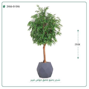 صورة مصغرة 6