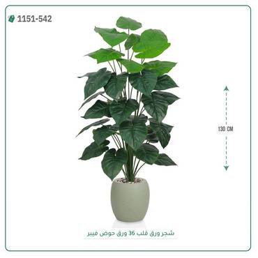 صورة مصغرة 1