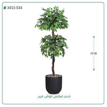 صورة مصغرة 2