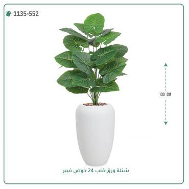 صورة مصغرة 1