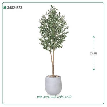 صورة مصغرة 3