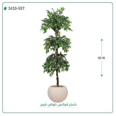 صورة مصغرة 4