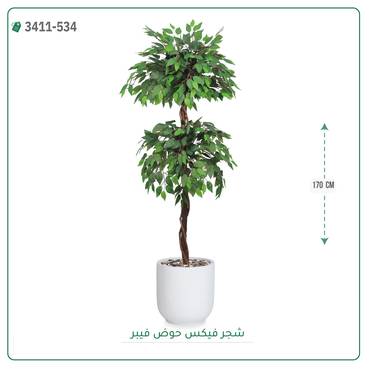 صورة مصغرة 6