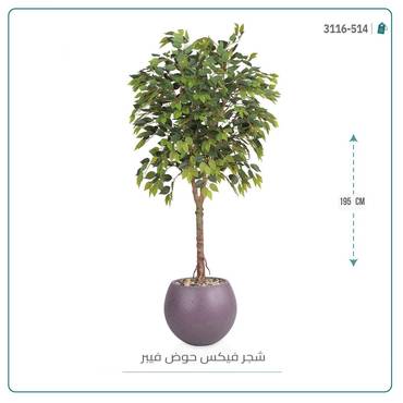 صورة مصغرة 4