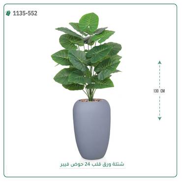 صورة مصغرة 3
