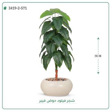 صورة مصغرة 2
