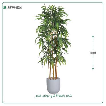 صورة مصغرة 6