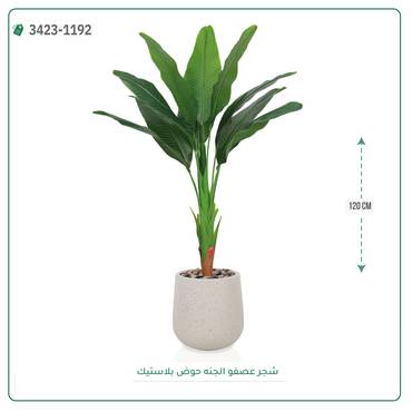صورة مصغرة 4