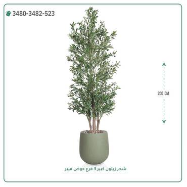 صورة مصغرة 1