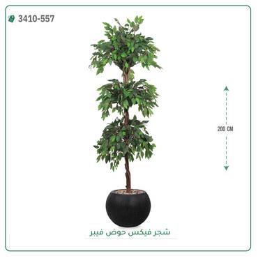 صورة مصغرة 3