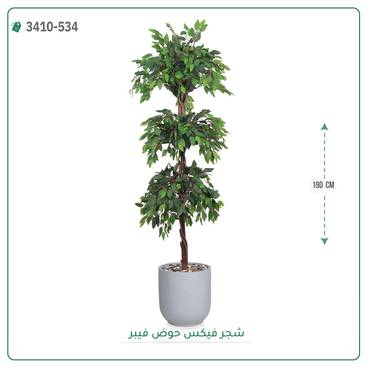 صورة مصغرة 6