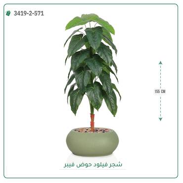 صورة مصغرة 3