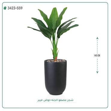 صورة مصغرة 4